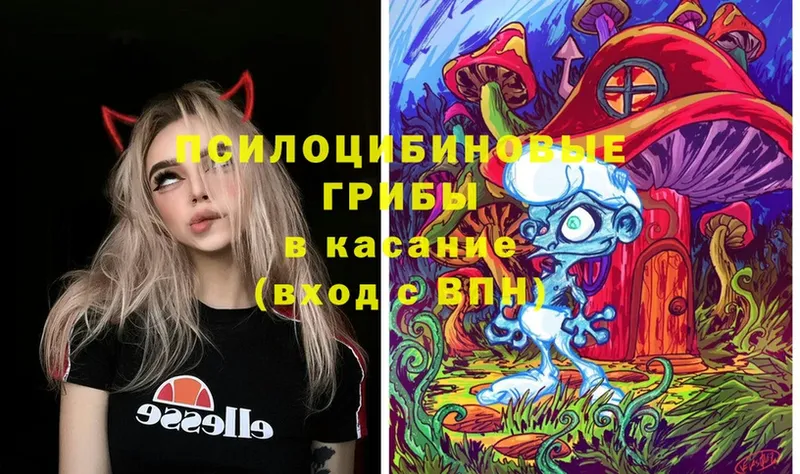 Галлюциногенные грибы Cubensis  Десногорск 